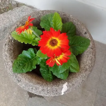 Casa Lari 4* סטרסה