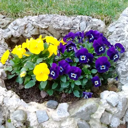 Casa Lari Aparthotel 4*